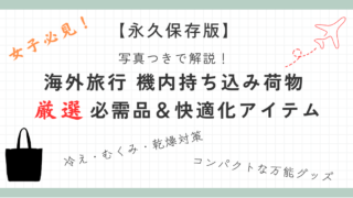 【永久保存版】 写真つきで解説！ 海外旅行 機内持ち込み荷物　必需品＆快適化アイテム